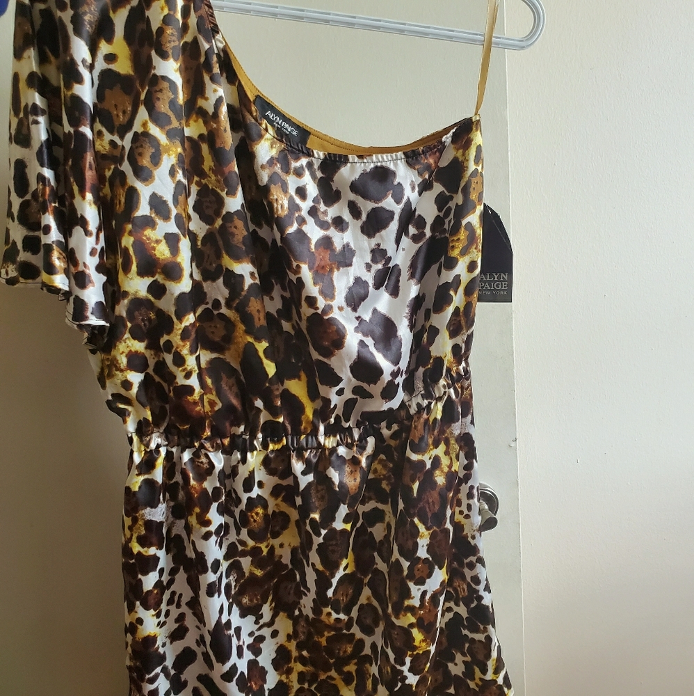 Alyn Paige Leopard Print Dress